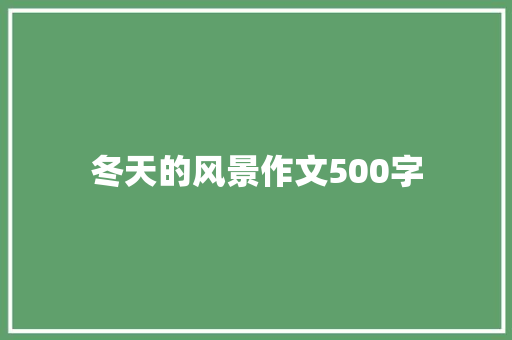 冬天的风景作文500字