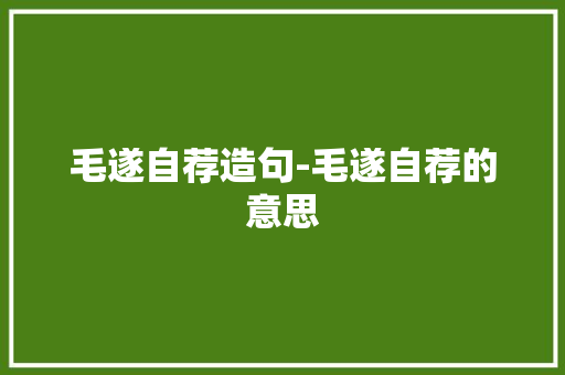 毛遂自荐造句-毛遂自荐的意思