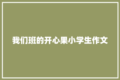 我们班的开心果小学生作文