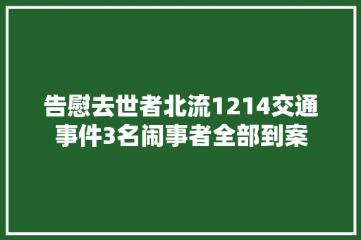 告慰去世者北流1214交通事件3名闹事者全部到案