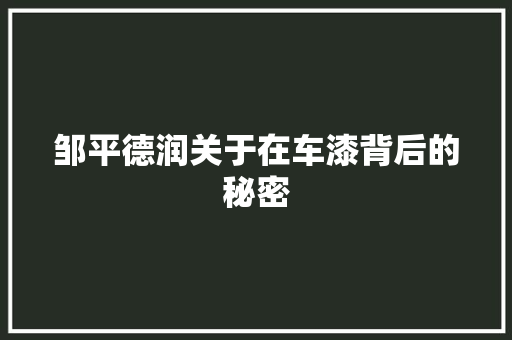 邹平德润关于在车漆背后的秘密