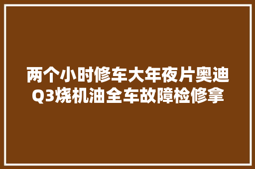 两个小时修车大年夜片奥迪Q3烧机油全车故障检修拿好板凳坐好看戏了
