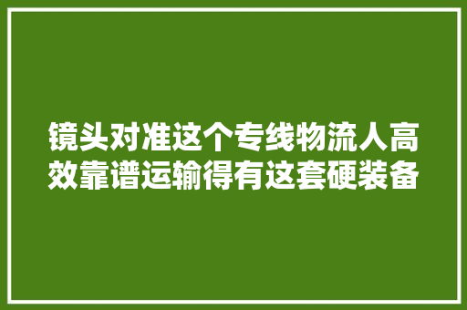 镜头对准这个专线物流人高效靠谱运输得有这套硬装备｜一线体验