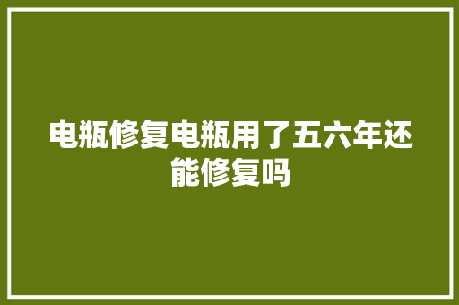 电瓶修复电瓶用了五六年还能修复吗