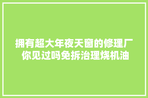 拥有超大年夜天窗的修理厂 你见过吗免拆治理烧机油