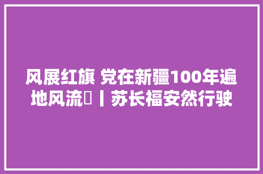 风展红旗 党在新疆100年遍地风流⑪丨苏长福安然行驶50万公里无大年夜修