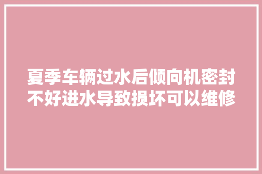 夏季车辆过水后倾向机密封不好进水导致损坏可以维修电脑