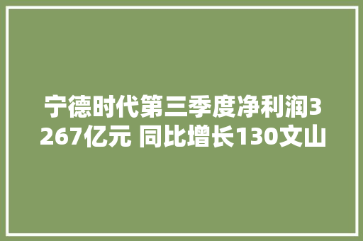 宁德时代第三季度净利润3267亿元 同比增长130文山电力八连板提醒投资者理性决定筹划