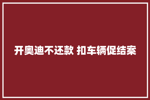 开奥迪不还款 扣车辆促结案