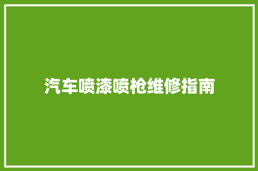 汽车喷漆喷枪维修指南