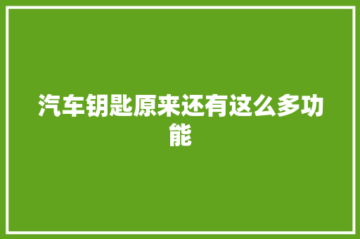 汽车钥匙原来还有这么多功能