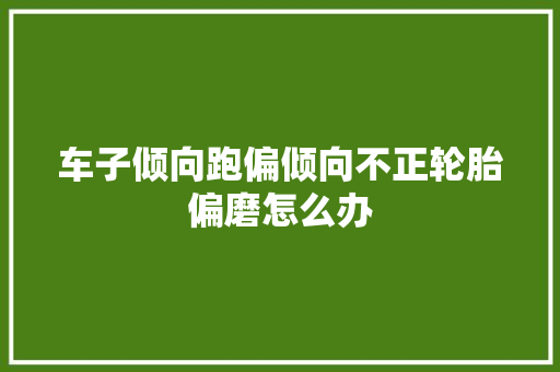 车子倾向跑偏倾向不正轮胎偏磨怎么办