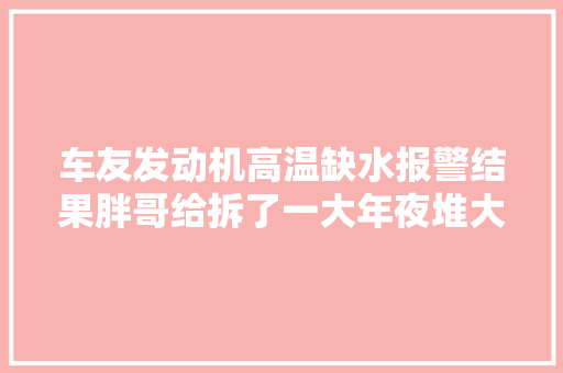 车友发动机高温缺水报警结果胖哥给拆了一大年夜堆大年夜哥会心疼吗