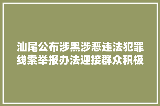 汕尾公布涉黑涉恶违法犯罪线索举报办法迎接群众积极举报
