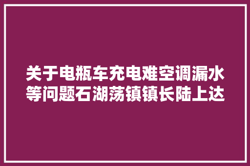 关于电瓶车充电难空调漏水等问题石湖荡镇镇长陆上达回应