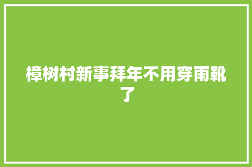 樟树村新事拜年不用穿雨靴了