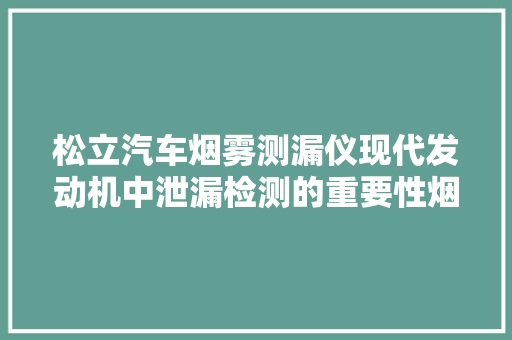 松立汽车烟雾测漏仪现代发动机中泄漏检测的重要性烟雾解决筹划