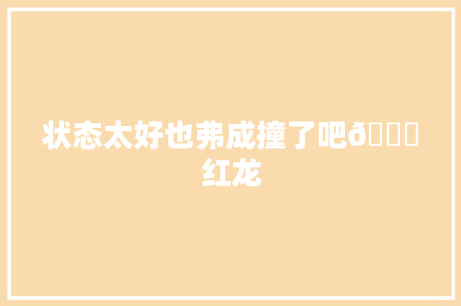 状态太好也弗成撞了吧😅红龙