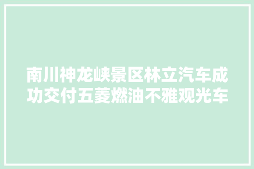 南川神龙峡景区林立汽车成功交付五菱燃油不雅观光车一批