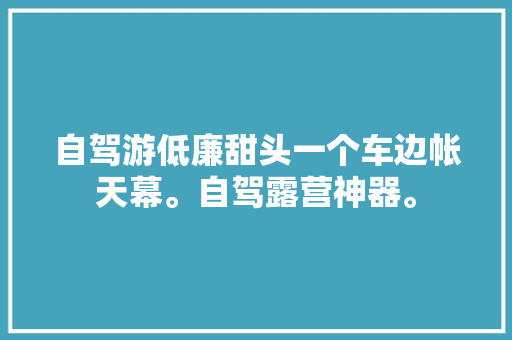 自驾游低廉甜头一个车边帐天幕。自驾露营神器。