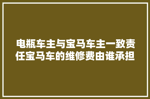 电瓶车主与宝马车主一致责任宝马车的维修费由谁承担