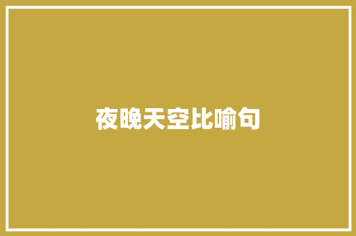 夜晚天空比喻句