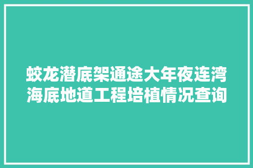 蛟龙潜底架通途大年夜连湾海底地道工程培植情况查询访问
