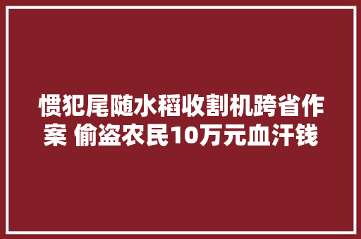 惯犯尾随水稻收割机跨省作案 偷盗农民10万元血汗钱被抓