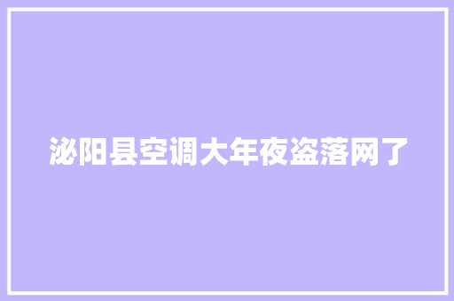 泌阳县空调大年夜盗落网了