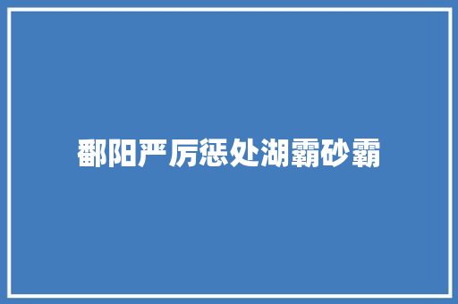 鄱阳严厉惩处湖霸砂霸