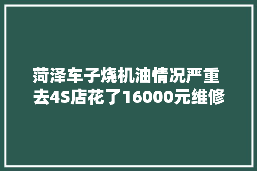 菏泽车子烧机油情况严重 去4S店花了16000元维修却没效果