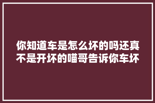 你知道车是怎么坏的吗还真不是开坏的喵哥告诉你车坏的原形 汽车知识