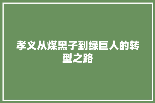 孝义从煤黑子到绿巨人的转型之路