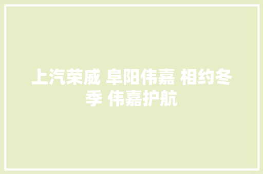 上汽荣威 阜阳伟嘉 相约冬季 伟嘉护航