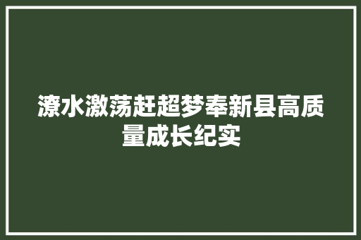 潦水激荡赶超梦奉新县高质量成长纪实