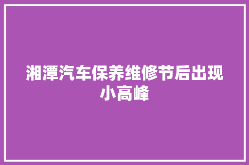 湘潭汽车保养维修节后出现小高峰