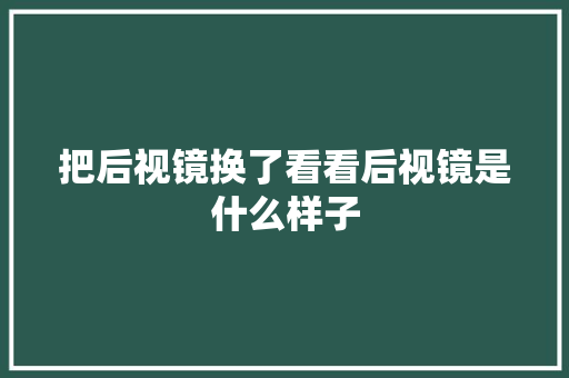 把后视镜换了看看后视镜是什么样子