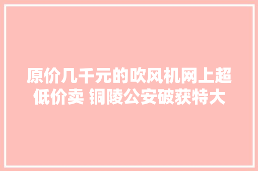 原价几千元的吹风机网上超低价卖 铜陵公安破获特大年夜假装注册商标案