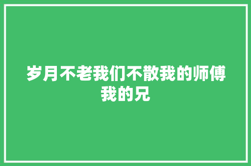岁月不老我们不散我的师傅我的兄