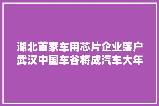 湖北首家车用芯片企业落户武汉中国车谷将成汽车大年夜脑研发基地