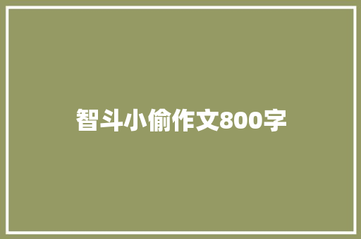 智斗小偷作文800字
