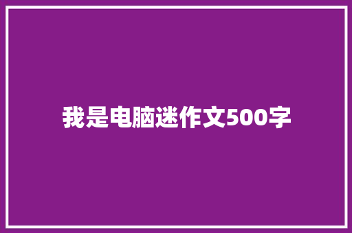 我是电脑迷作文500字