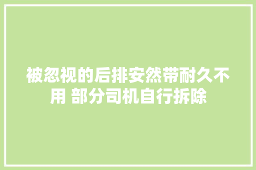 被忽视的后排安然带耐久不用 部分司机自行拆除