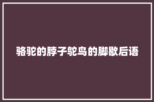 骆驼的脖子鸵鸟的脚歇后语