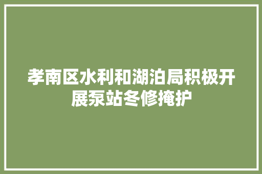 孝南区水利和湖泊局积极开展泵站冬修掩护