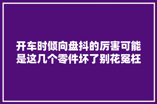 开车时倾向盘抖的厉害可能是这几个零件坏了别花冤枉钱乱修