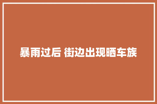 暴雨过后 街边出现晒车族