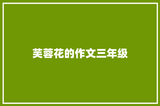 芙蓉花的作文三年级