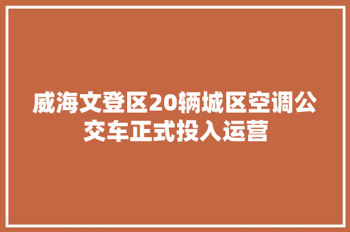 威海文登区20辆城区空调公交车正式投入运营