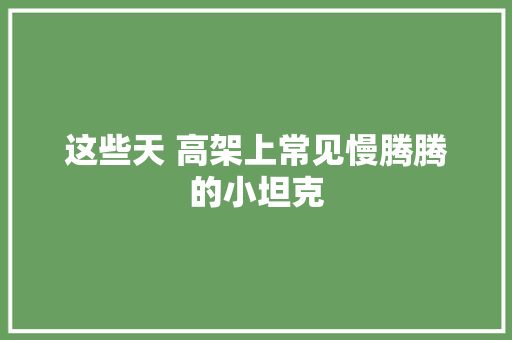 这些天 高架上常见慢腾腾的小坦克